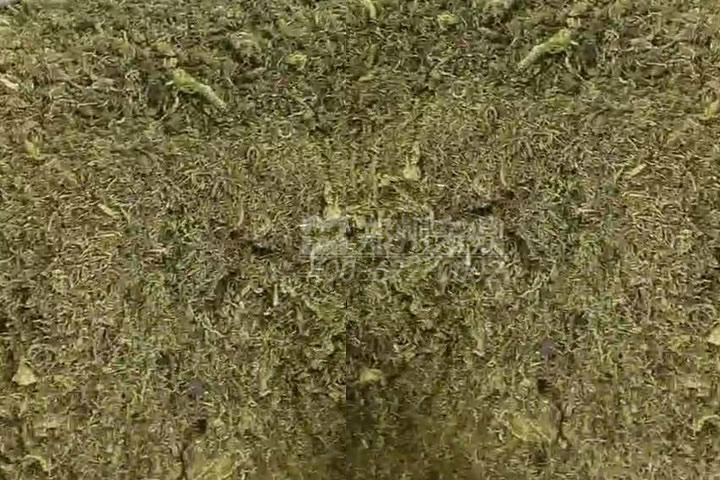 牧草烘干機如何科學選型？牧草烘干過程中營養(yǎng)成分會流失嗎